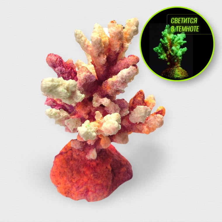 Кораллы светятся в темноте