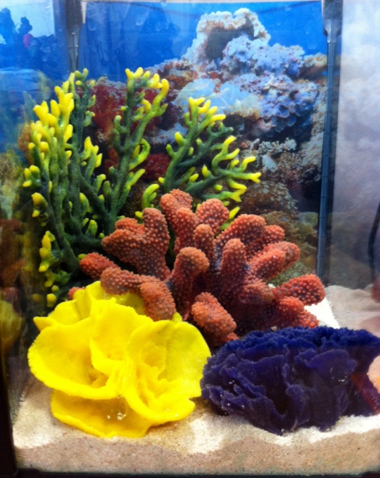 Коралловый риф для аквариума