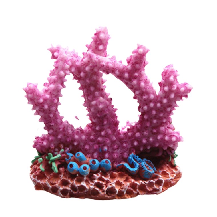 Фиолетовые кораллы