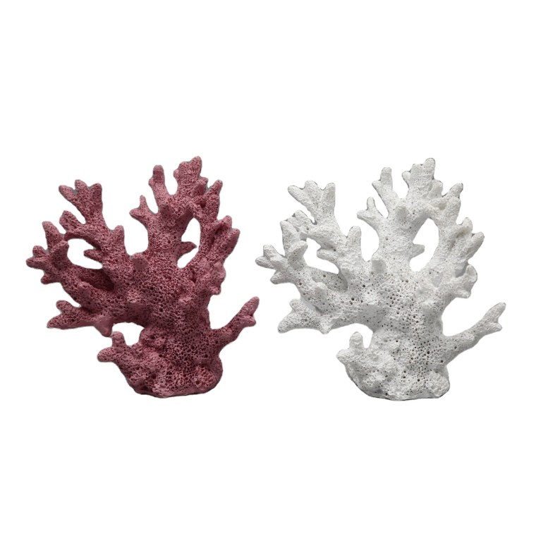 Nordic Coral