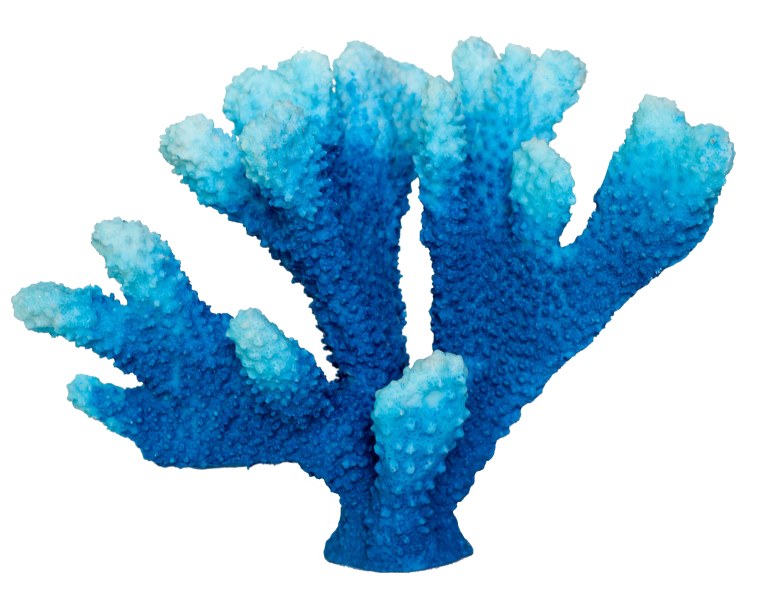 Какой краской красят искусственные кораллы