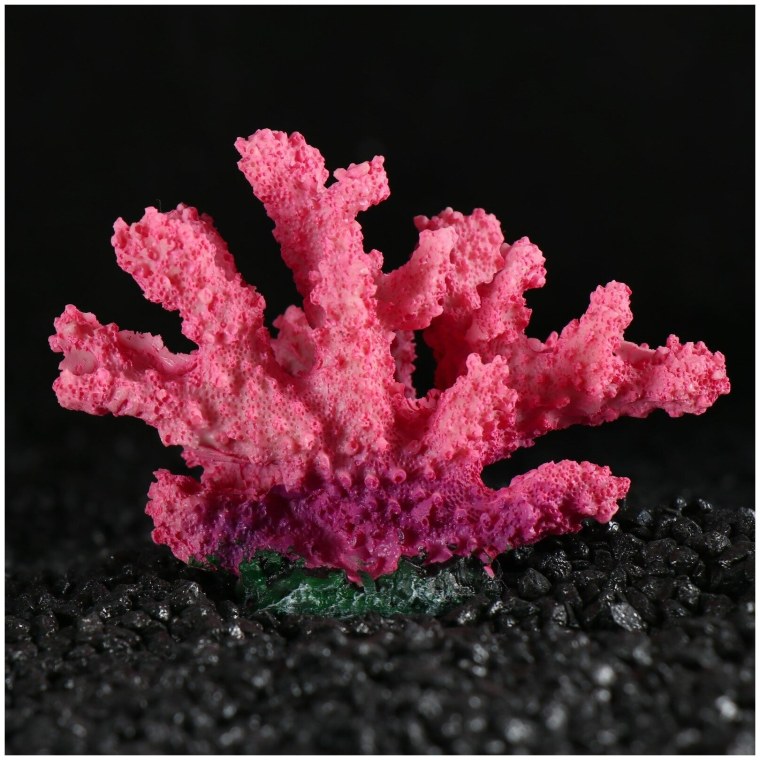 Синулярия зеленая