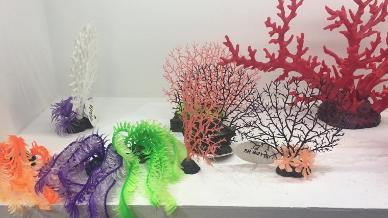 Искусственный коралловый риф