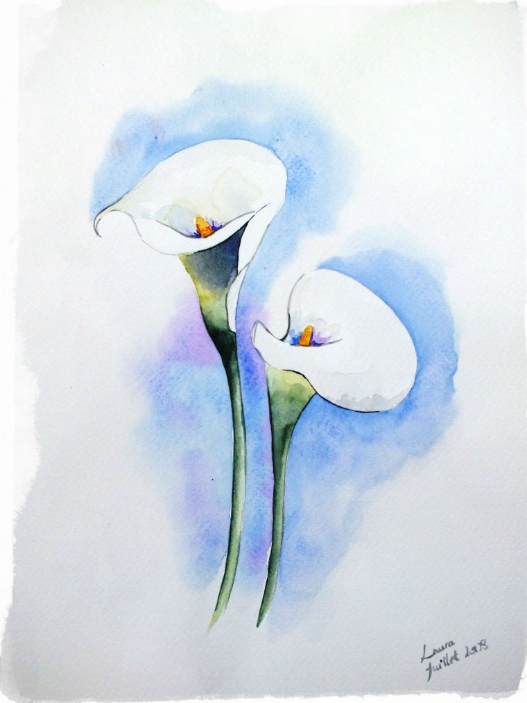 Цветы каллы акварелью