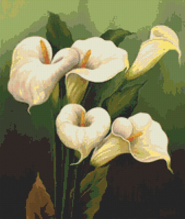 Цветы каллы пастелью