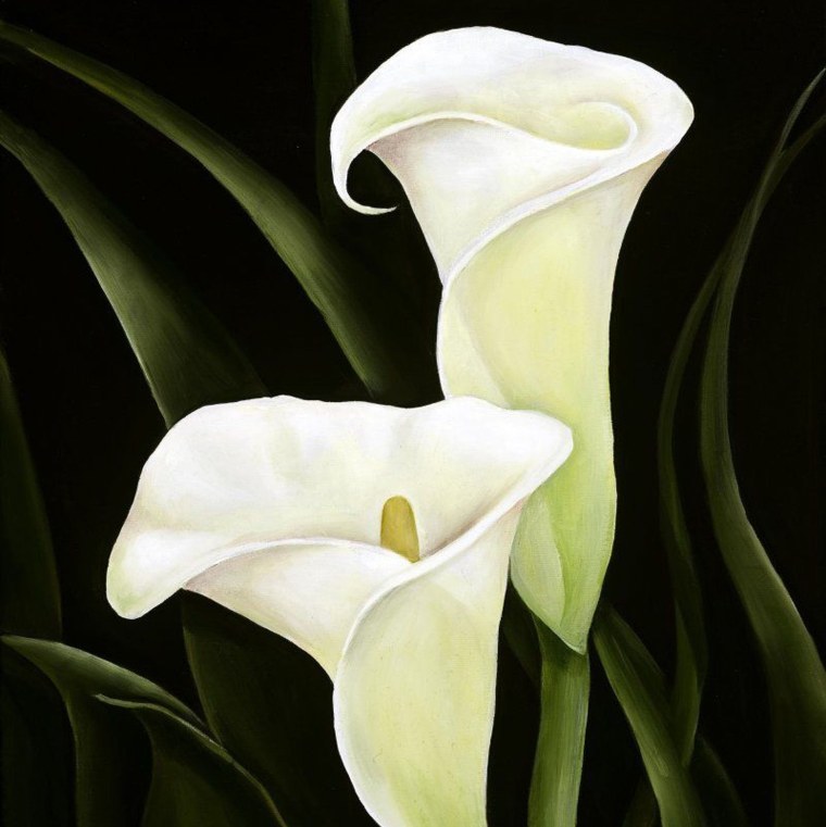 Каллы акрилом