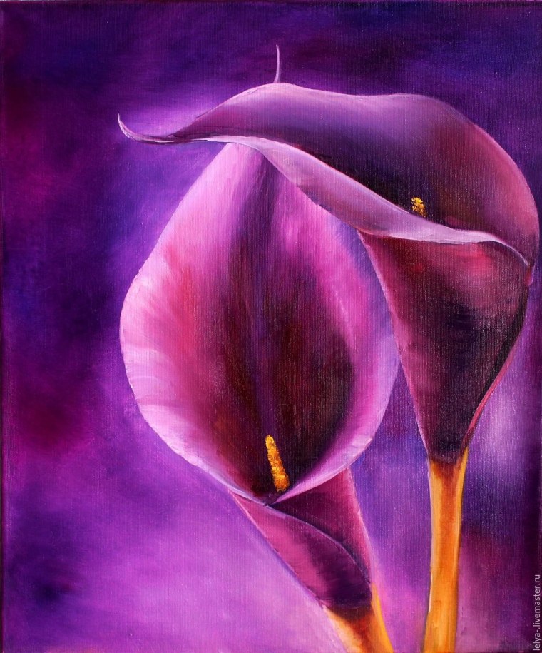 Каллы Андрияка