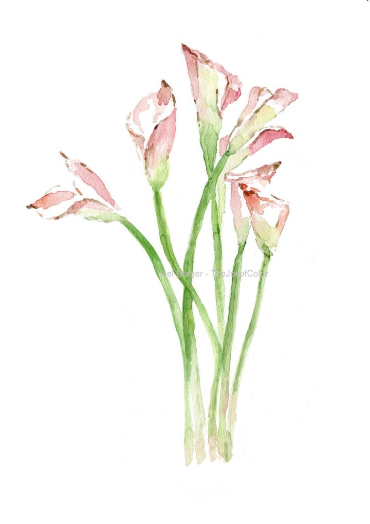 Каллы акварелью