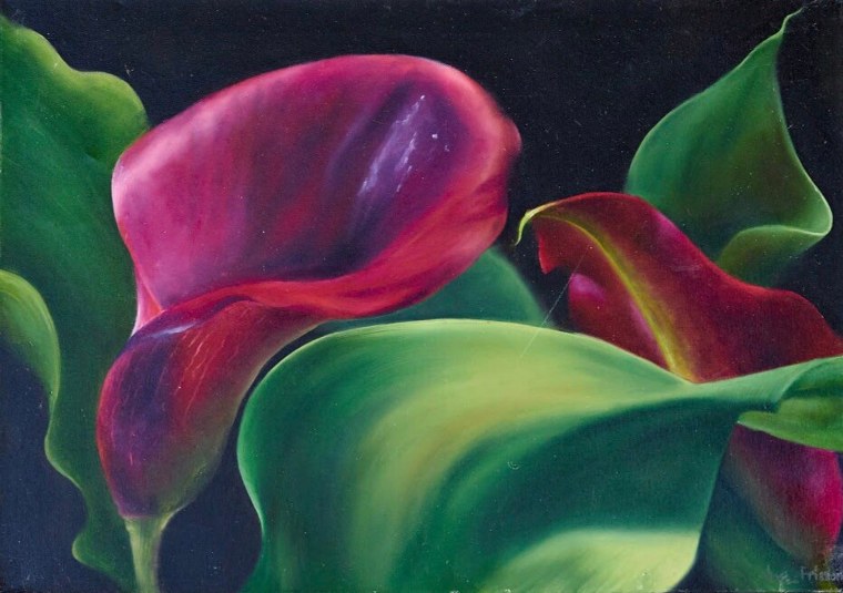 Каллы на белом фоне