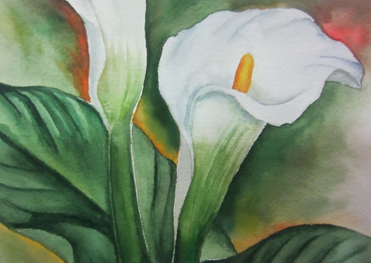 Каллы маслом