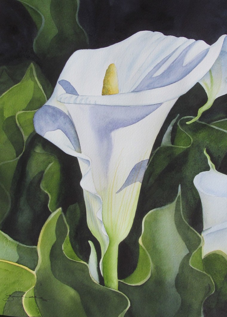 Абель Катерина каллы