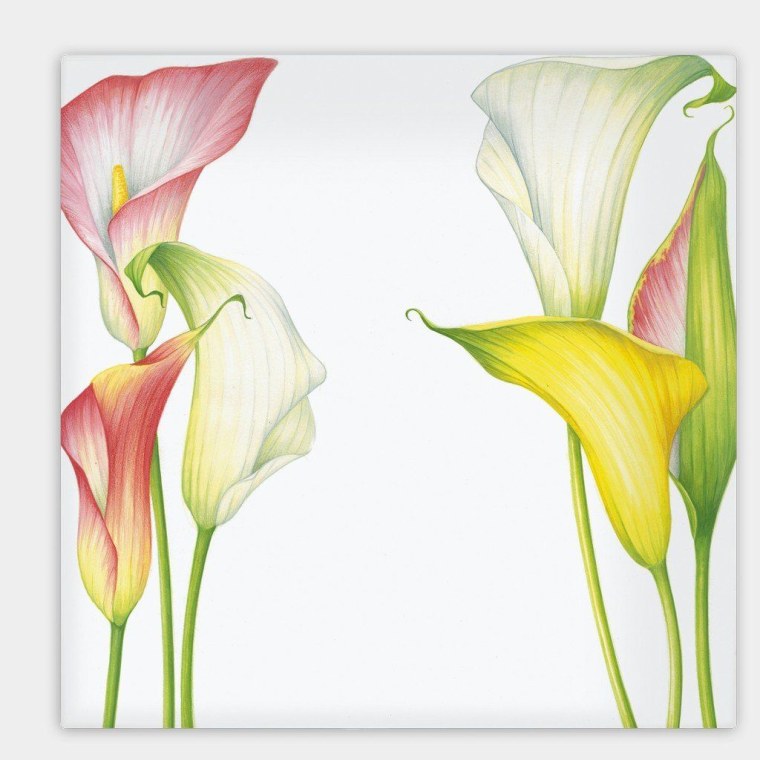 Каллы на картинах художников