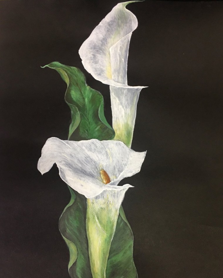 Абель Катерина каллы