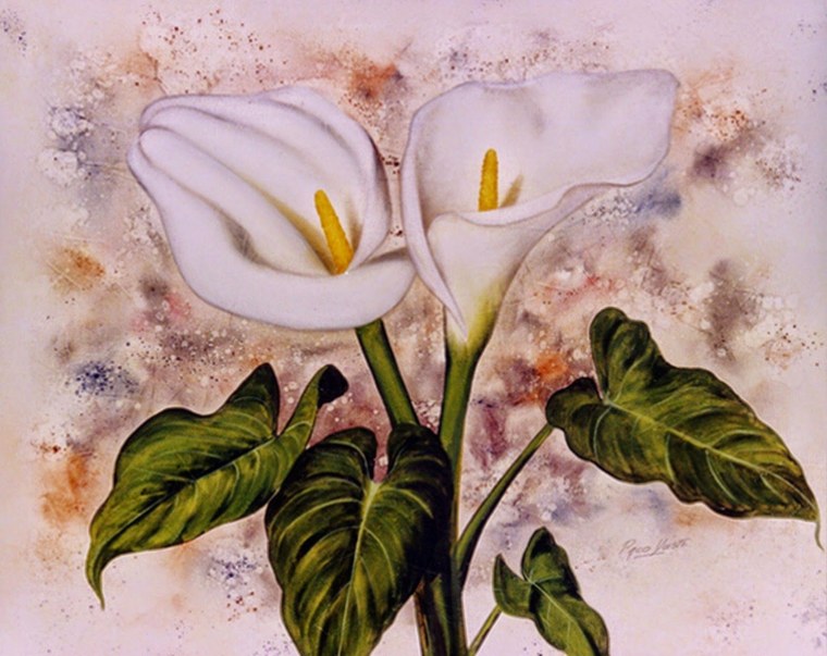 Белые каллы картина