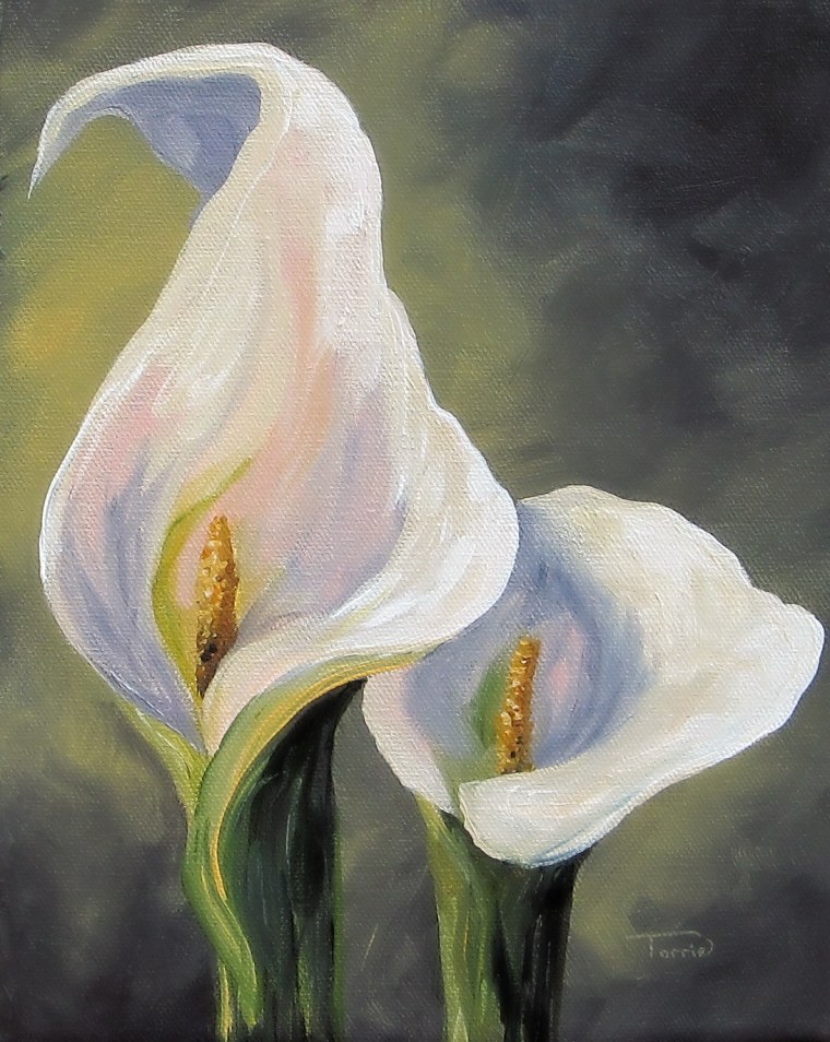 Цветы каллы акварелью