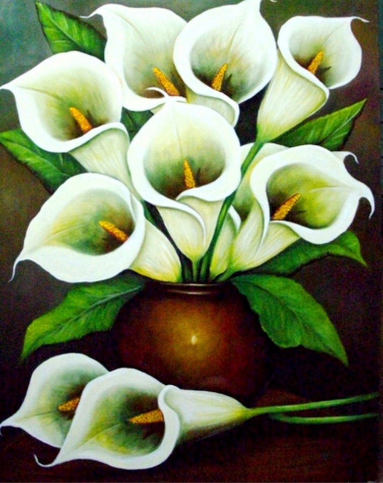 Картины цветы каллы