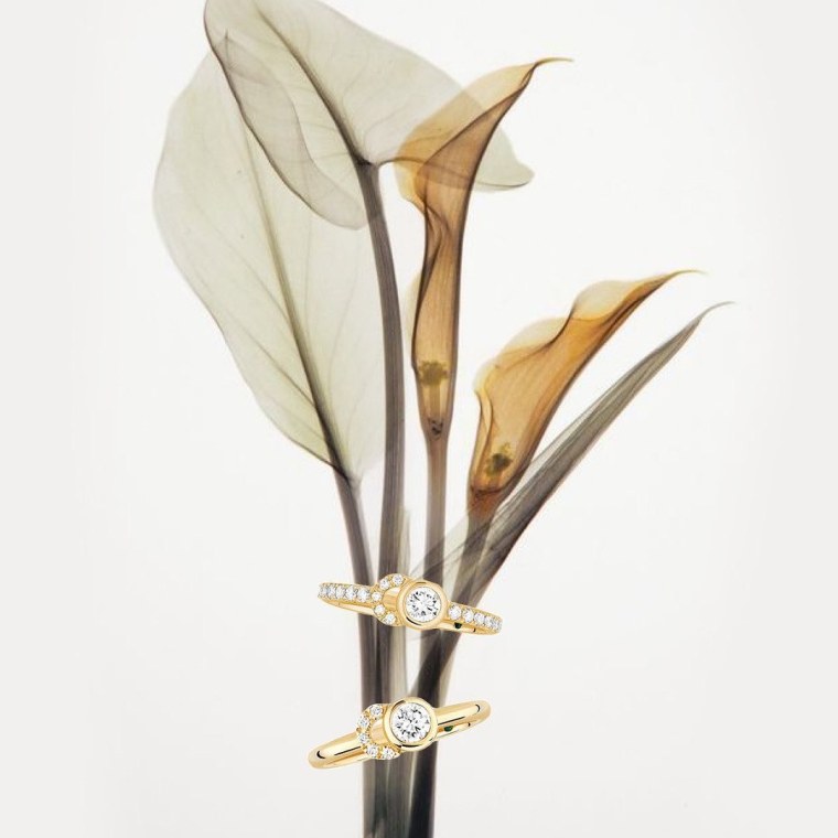 Цветы каллы акварелью