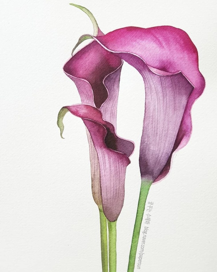 Художник Koetsier Albert Lilia