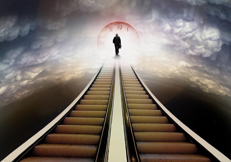 Лестница жизни