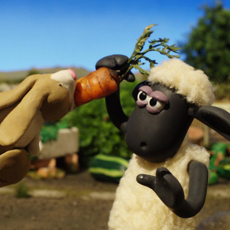 Барашек Шон 2014