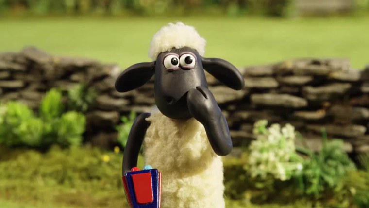 Барашек Шон 102