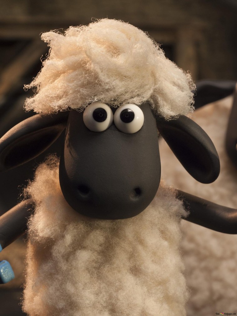 Дримворкс овца мультфильм