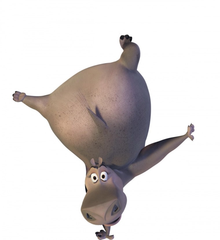 Мадагаскар бегемотиха Глория