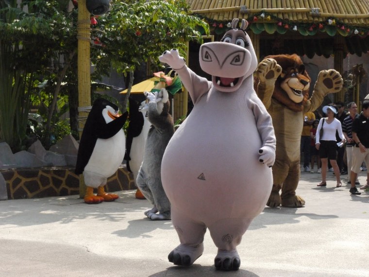 Глория Бегемот Мадагаскар