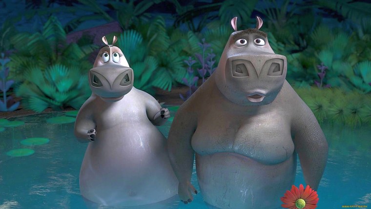 Мото мото и Глория