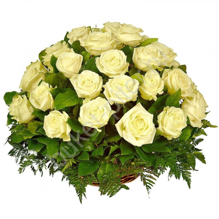 Корзина белых роз