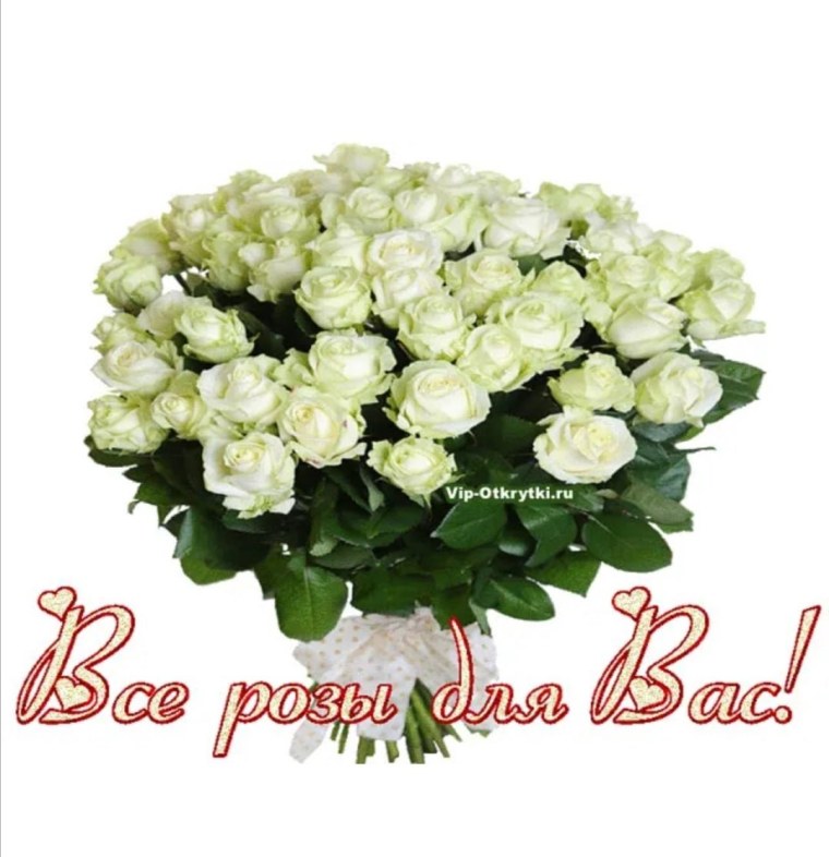 Открытка с юбилеем белые розы