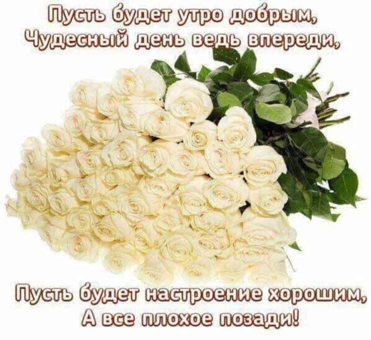 Открытки с днем рождения белые розы