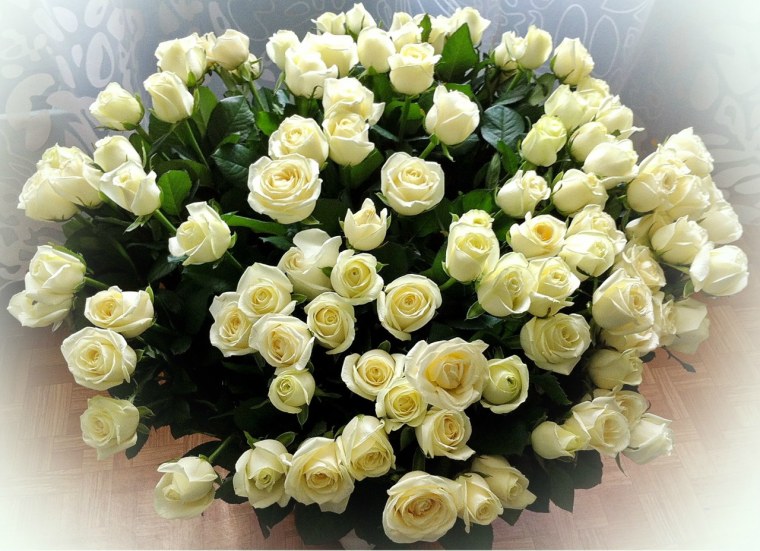 Открытки с белыми розами