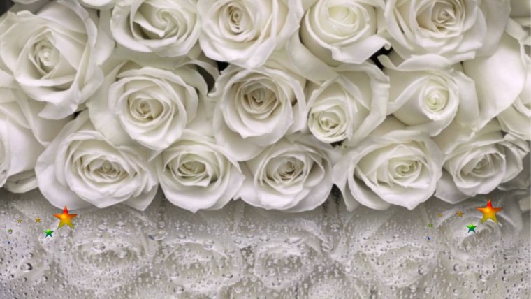 С днём рождения сестрёнка белые розы