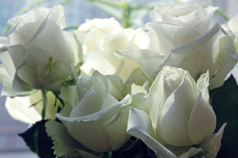 Белые розы для самой красивой