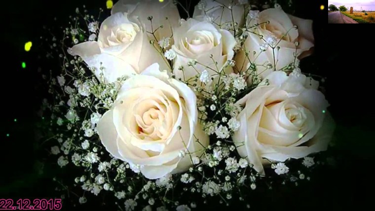 Белые розы для любимой женщины