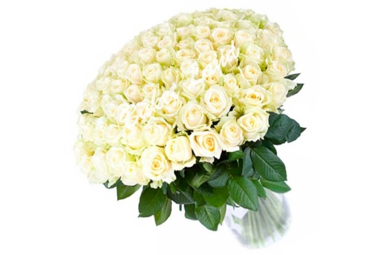 Букет 101 белая роза "Аваланж"