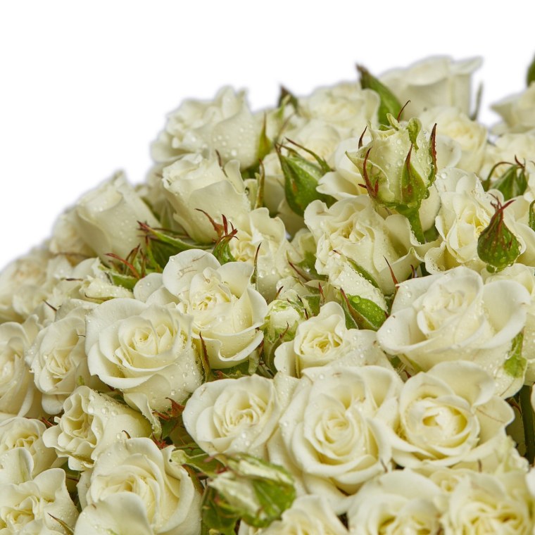 Роза Вайт Эшли