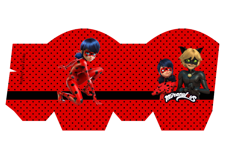 Коробки в стиле леди баг