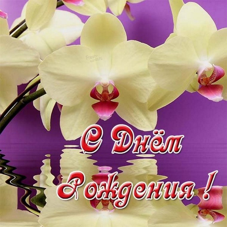С днём рождения орхидеи