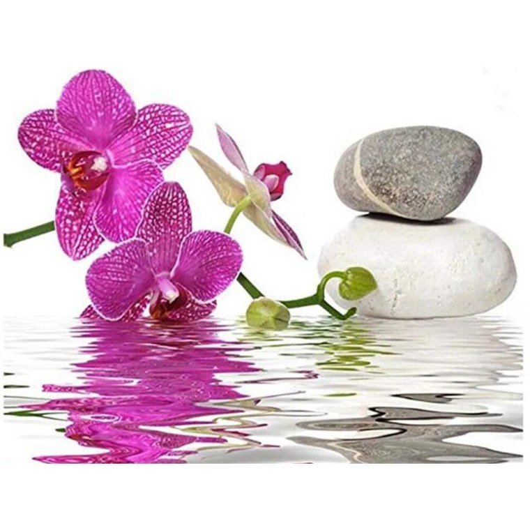 Орхидея в воде