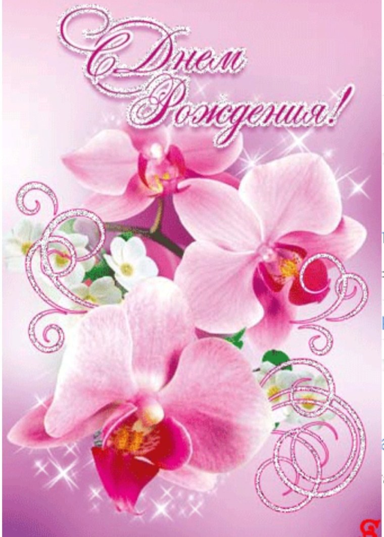 С днём рождения орхидеи