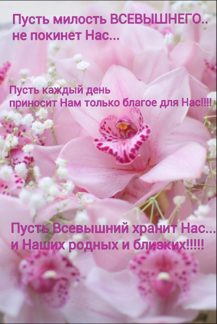 Спасибо с орхидеями