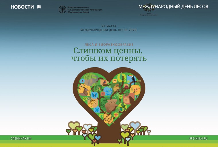 День леса 2020