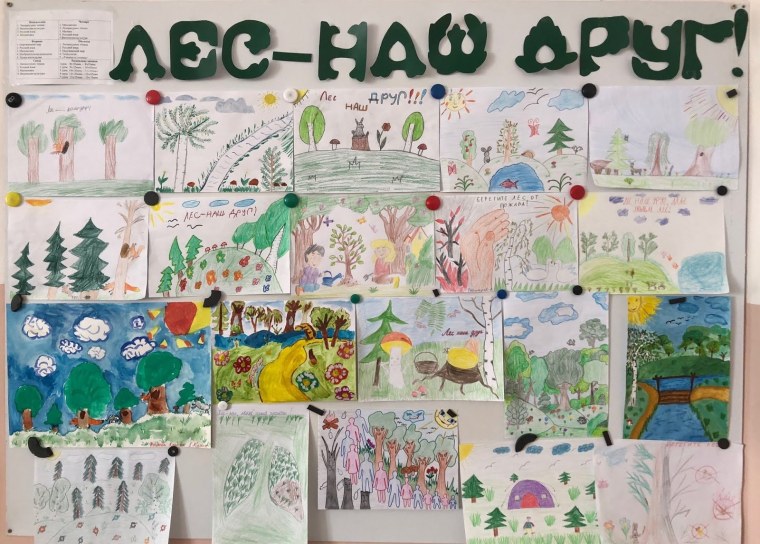 Рисунок на тему Международный день леса