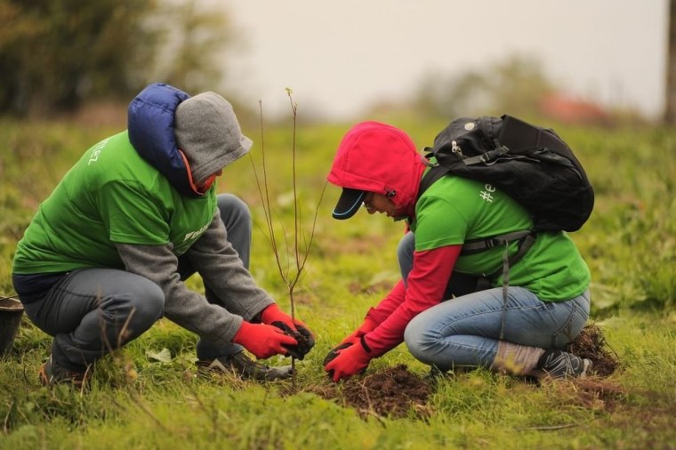 Международный день леса фото