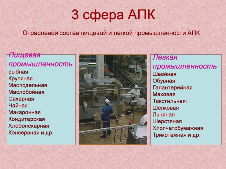 Агропромышленный комплекс география