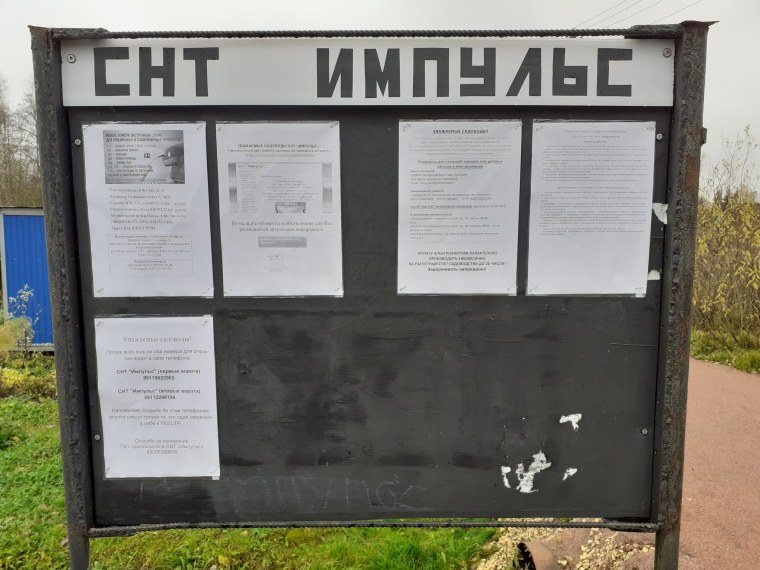 СНТ Импульс