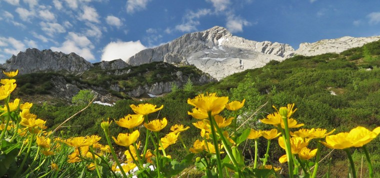 Альпийские Луга Адыгея