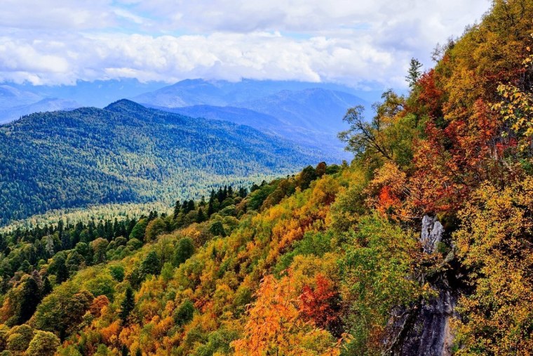 Плато Лагонаки Адыгея осень